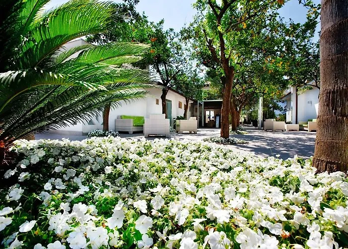 Acapulco Hotel Cattolica